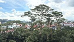 The Skywoods (D23), Condominium #624966091
